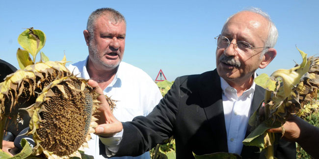 Kılıçdaroğlu ayçiçek taban fiyatını açıkladı: Ton başına 16 bin TL