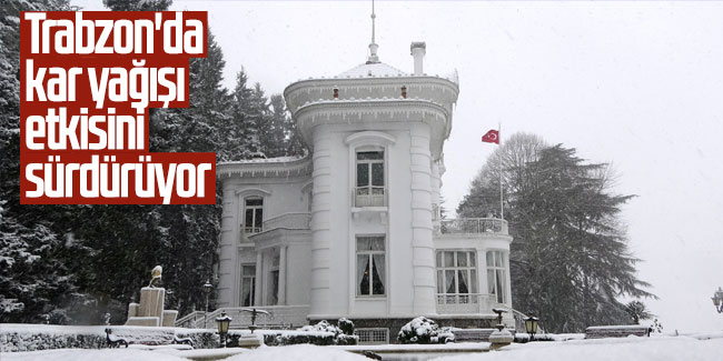 Trabzon'da kar yağışı etkisini sürdürüyor