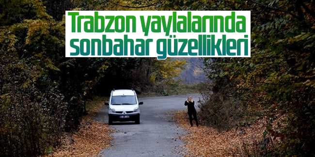 Trabzon yaylalarında sonbahar güzellikleri