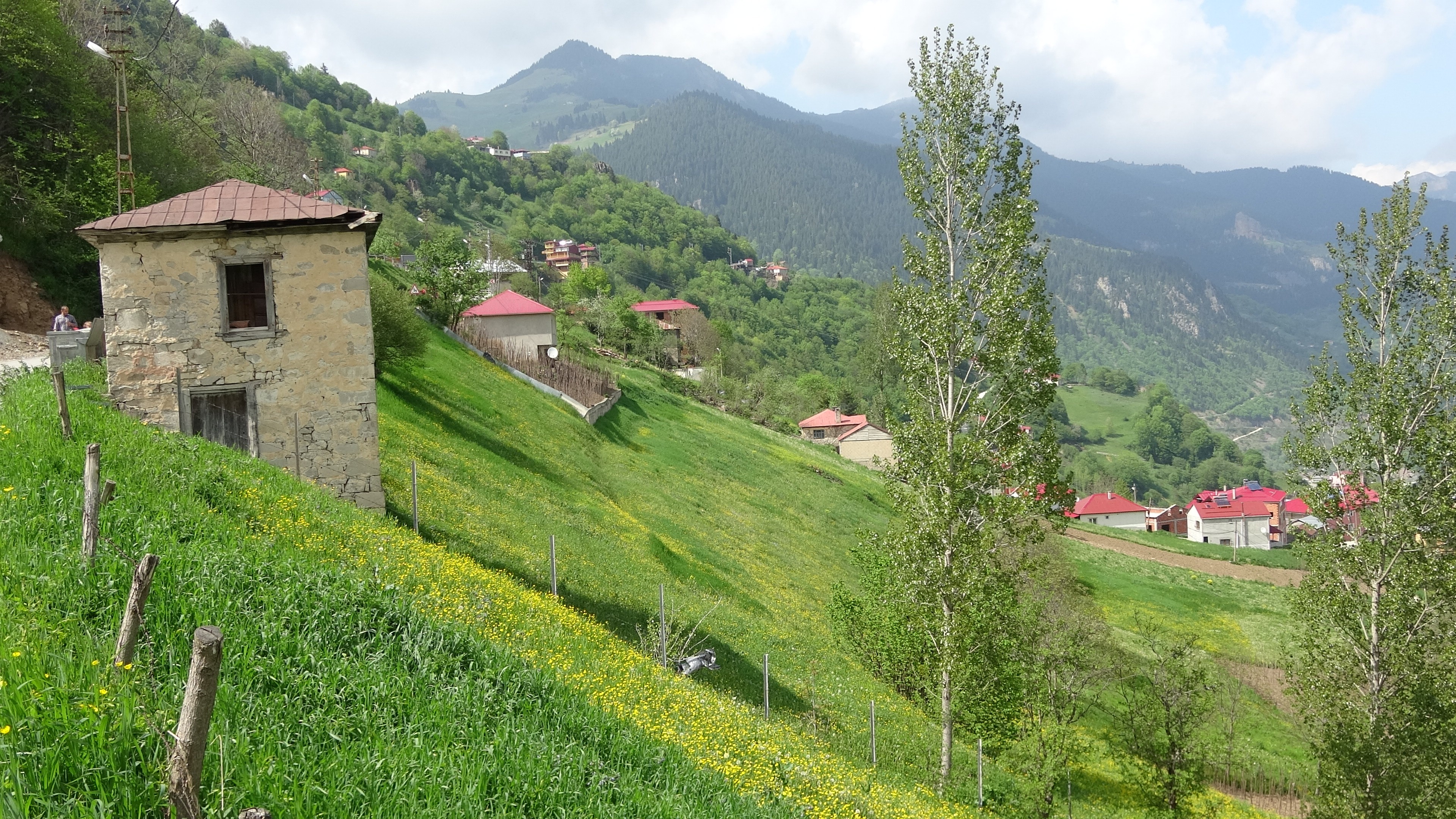 Hamsiköy sessizliğe büründü | Karadeniz Gazete
