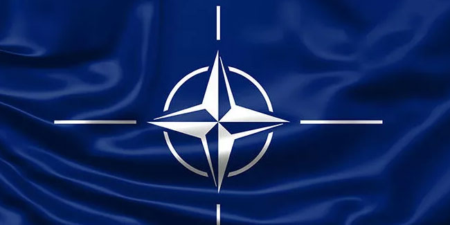 Finlandiya Cumhurbaşkanı: NATO üyesi olmamız için referanduma gerek yok