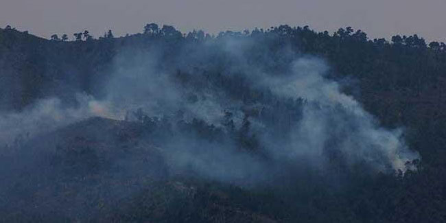 Terör örgütü PKK/KCK'nın 'yangın' yalanı çürütüldü