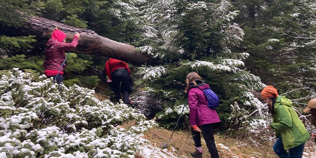 Kar yağışını fırsat bilen doğaseverler yaylada kamp yaptı