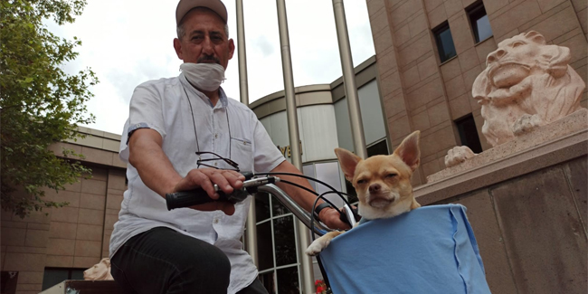 Bisikletle gezmeyi seven minik köpek
