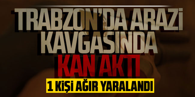 Trabzon'da arazi tartışması! 1 kişi ağır yaralandı