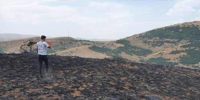 Çobanın yaktığı ateş 20 hektarlık arazi küle döndü