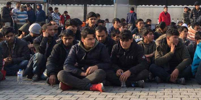 391 düzensiz göçmen yakalandı