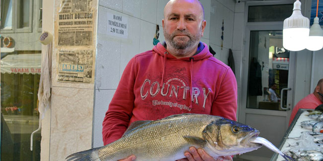 Balıkçıların ağına 10 kiloluk levrek takıldı