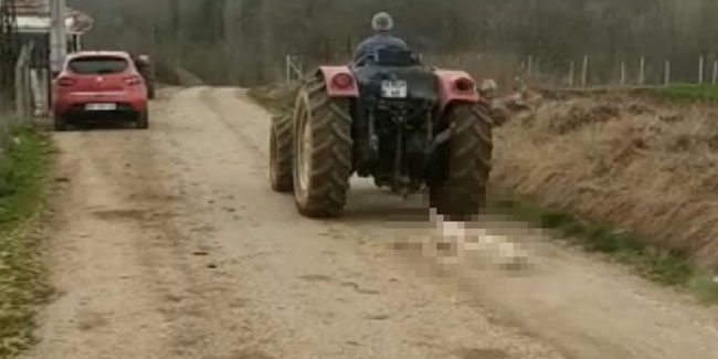 Gebe köpeği tüfekle öldürdü: Traktörün arkasına bağlayıp sürükledi