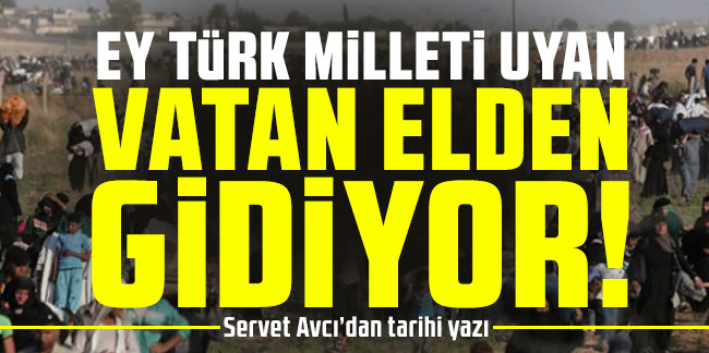 Ey Türk milleti uyan vatan elden gidiyor!
