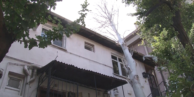 Maltepe’de şiddetli rüzgarda devrilen ağaç evin çatısına düştü