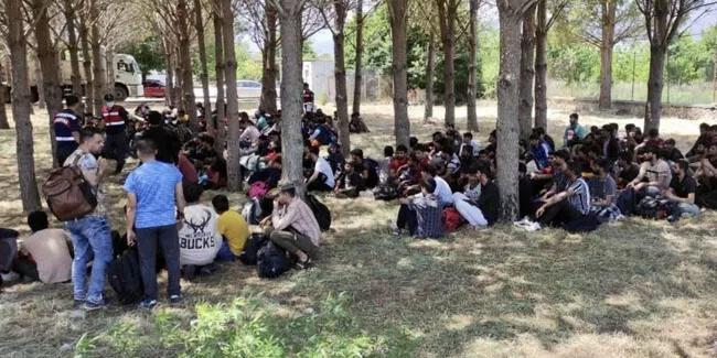  265 düzensiz göçmen yakalandı