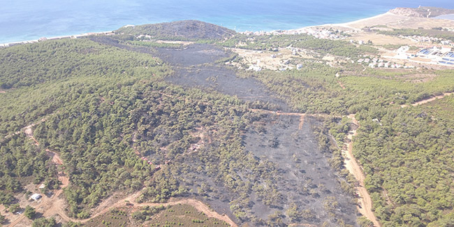 Ayvalık'ta yangında zarar gören bölge havadan görüntülendi