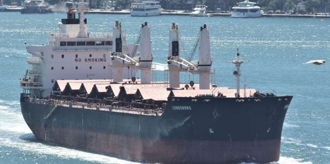 Kolombiya’dan gelen gemide 150 kilo kokain ele geçirildi. Yer: Zonguldak Ereğli limanı