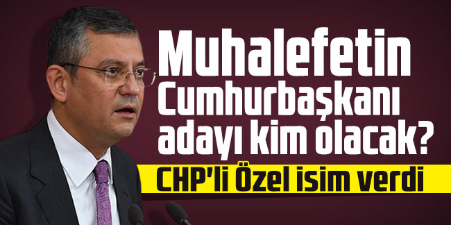 Muhalefetin Cumhurbaşkanı adayı kim olacak? CHP'li Özel isim verdi