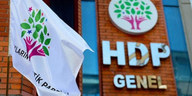 Elazığ'da HDP İl Başkanı Semra Çelik tutuklandı
