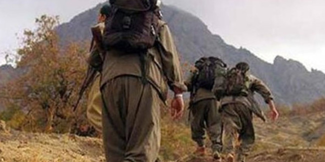 MSB: “2 PKK/YPG'li terörist daha hudut karakolumuza teslim oldu”