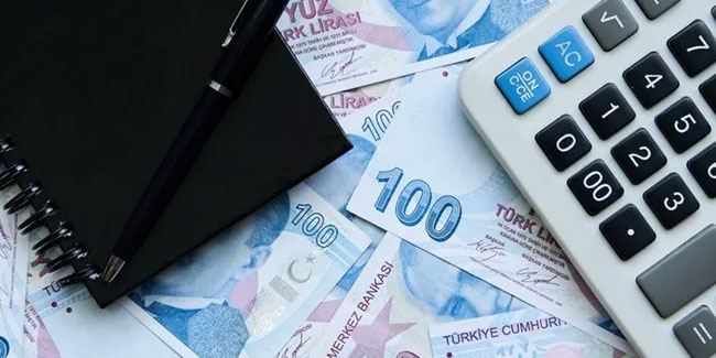 Ekonomistlerden Türk Lirası için kabus senaryosu