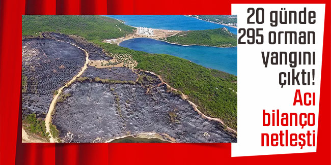 20 günde 295 orman yangını çıktı! Acı bilanço netleşti
