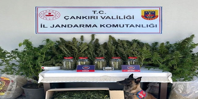 Çankırı'da Jandarmadan uyuşturucu operasyonu!