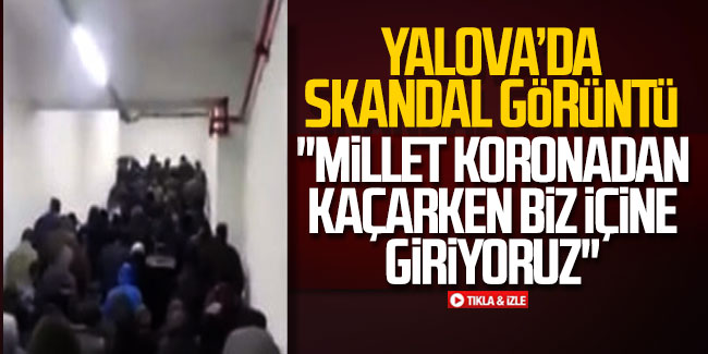 Yalova'da skandal görüntü: ''Millet koronadan kaçarken biz içine giriyoruz''