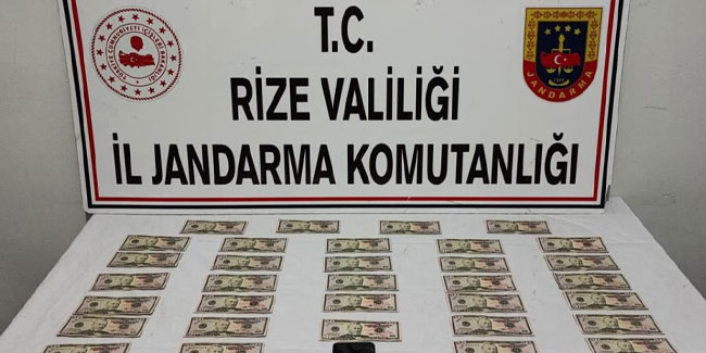 Rize'de 'sahte dolar' operasyonu: 1 gözaltı
