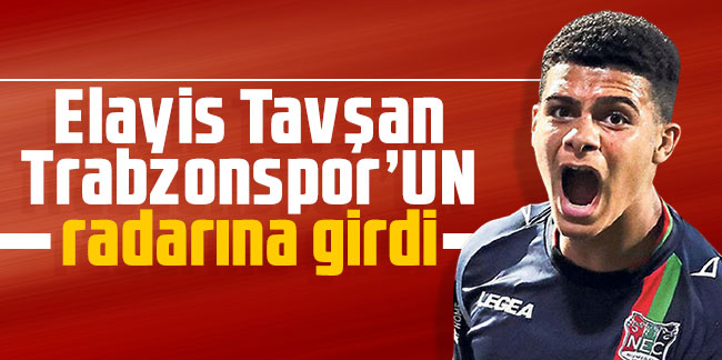 Trabzonspor'da Elayis Tavşan harekatı! 