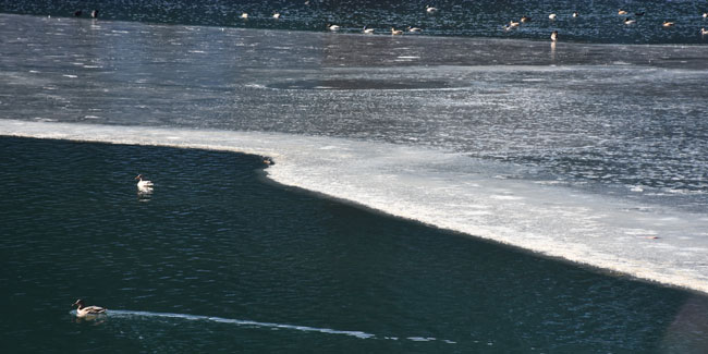 Uzungöl'ün yüzeyinin bir kısmı buz tuttu