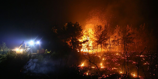 Antalya'nın Manavgat ilçesinde orman yangını