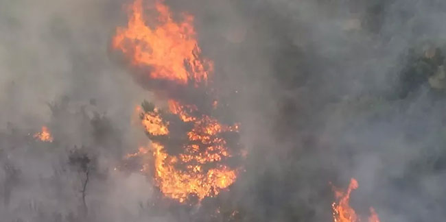 Çanakkale’deki orman yangınına gece havadan ve karadan müdahale sürüyor