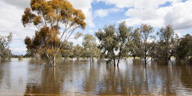 Avustralya’da sel uyarısı: Binlerce kişi tahliye edildi