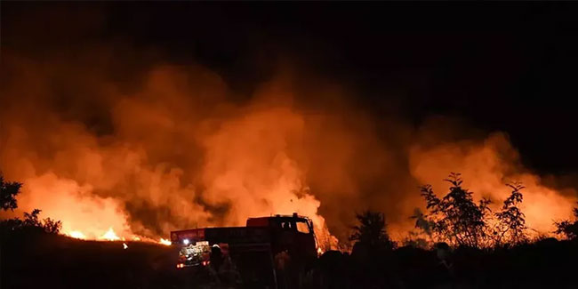 Keşan'da buğday ekili alanda yangın çıktı: 100 dönüm arazi kül oldu!