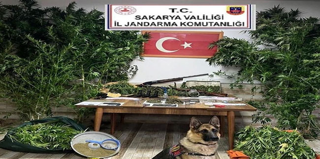 Sakarya'da uyuşturucu operasyonu! 6 kişi gözaltına alındı