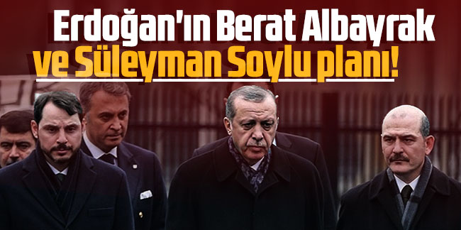 Cumhurbaşkanı Erdoğan'ın Berat Albayrak ve Süleyman Soylu planı! İnce ince doğranıyor...