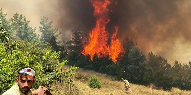 Gökçeada'daki orman yangını 16 saat sonra kontrol altında
