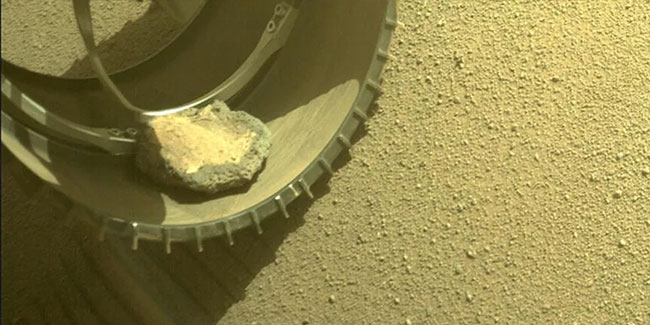 NASA'nın Mars'taki uzay aracı davetsiz misafirden kurtuldu