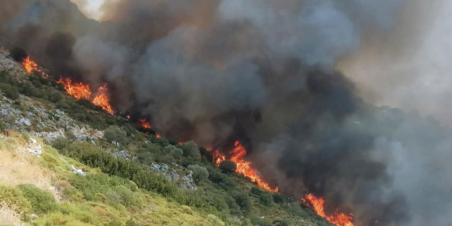 Muğla’da orman yangını: Ekipler müdahale ediyor