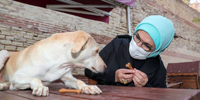 Emine Erdoğan engelli köpek ''Leblebi''yi sahiplendi