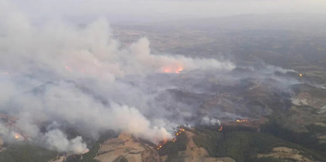 Manisa'daki orman yangını 21 saatte kontrol altına alındı!