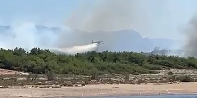 Antalya Manavgat'ta orman yangını: Havadan ve karadan müdahale ediliyor