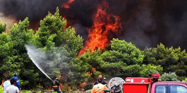 Yunanistan'daki yangın Türkiye sınırına dayandı