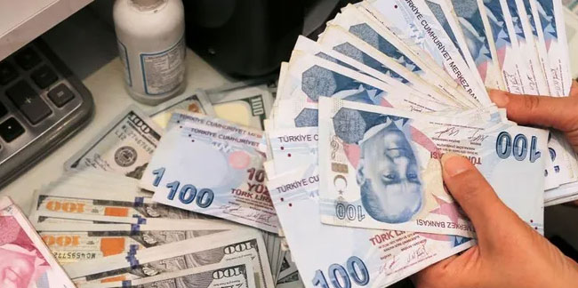 İşte Türk Lirası'nın karşısında değer kaybetmediği tek para birimi