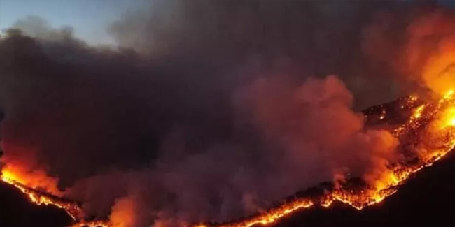 Meksika'nın Nuevo Leon eyaletindeki orman yangını kontrolden çıktı