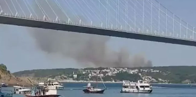 Beykoz'da orman yangını çıktı! Çok sayıda ekip bölgeye sevk edildi
