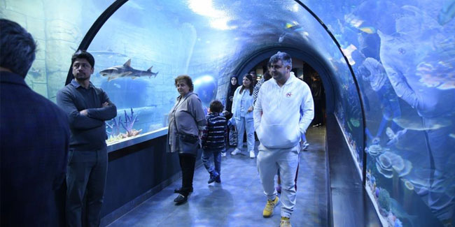 Tünel Akvaryum'un ziyaretçi sayısı 200 bini geçti