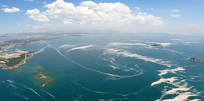 Marmara Denizi'nde yeni tehlike: Oksijen azlığı