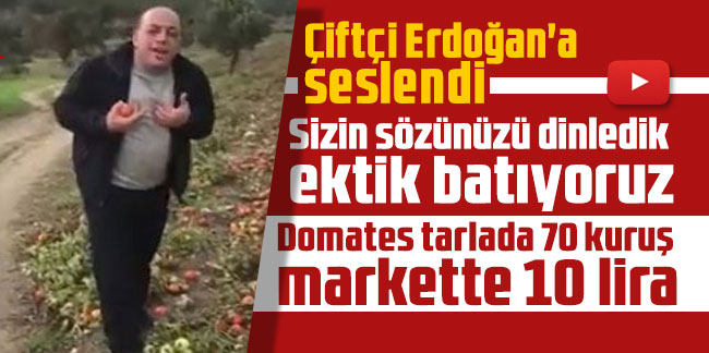 Çiftçi Erdoğan'a seslendi: Sizin sözünüzü dinledik ektik batıyoruz. Domates tarlada 70 kuruş markette 10 lira
