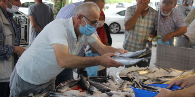Rize'de balık tezgahlarında palamut izdihamı