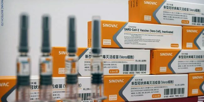 Türkiye'nin de kullandığı Sinovac aşısı salgını durdurdu