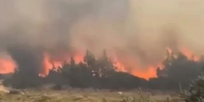 Ünlü tatil merkezi Çeşme’de yangın başladı
